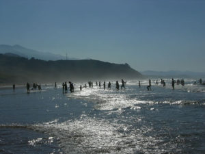 Playa de Vega