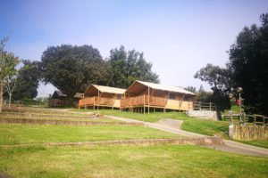 Camping Ribadesella Tiendas Safari