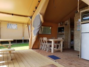 Cocina Tienda Safari