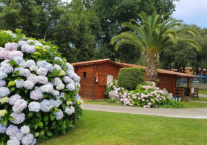Bungalow Campìng Ribadesella
