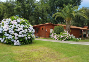 Bungalow Campìng Ribadesella