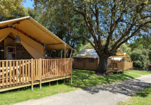 Tienda safari